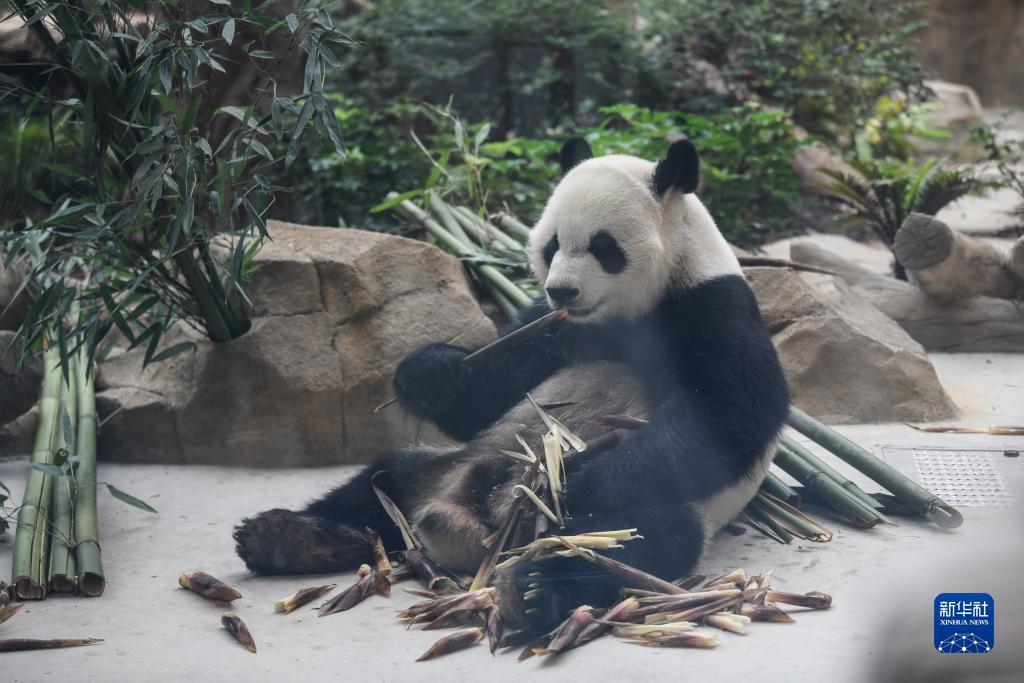 赌注什么好玩一点